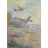 JAMES STINTON Grouse Watercolour Signed 26.