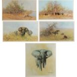 DAVID SHEPHERD Sketch for a Painting- African Bull Elephant Signed and titled Numbered 532 / 850 55