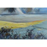 BARRIE BRAY Zennor Coast Oil on canvas 40 x 60cm The Bray family have long been influential in