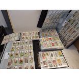 A collection of cigarette cards in six albums, mainly odds.
