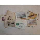 A collection of British Museum Natural History postcards.
