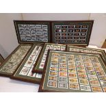 Seven sets of cigarrette cards, each framed and glazed both sides:- G.