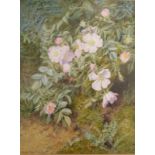 MARIAN EMMA CHASE Wild Roses Watercolour Signed and dated 1878 38.