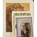 DAVID SHEPHERD Gazelle Signed print Together with David Shepherd and other wildlife prints and