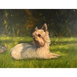 Yorkshire Terriers Five various works Various artists