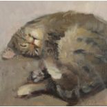 CHRISTINE BAYLE Cat Resting Oil on canvas Signed 15 x 15 cm