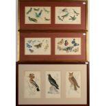 Various Wildlife Hand coloured prints A Fullarton & Co 3 pieces