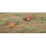 CHARLES HENRY BALDWYN A Pheasant and a Pea Hen Feeding Watercolour Signed 6.5 x 14.