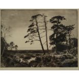 ANDREW WATSON TURBULL View of a River Bed and Conifers Etching Signed 19 x 25 cm Plus 4 other