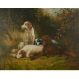 S J ALLAN Setters resting Oil on canvas Signed 45 x 54 cm
