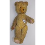 A yellow plush firmly wood wool stuffed teddy bear, with fabric pads and stitched toes, cut muzzle,