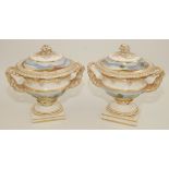 A pair of porcelain twin handled Warwick urns and covers, 19th century,