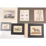 A collection of prints and engravings related to agriculture, hunting and horses,