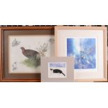 Various watercolours, prints and one oil.