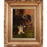 M HEIGHWAY Kittens playing Oil on Canvas Signed and dated 08 42 x 30cm