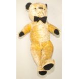 A short curly yellow plush teddy bear with black ears and pads, growler in working order,