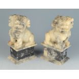 A pair of Chinese soapstone dogs of fo, each seated on a plinth, height 18cm, width 10cm, depth 7.