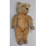 A good gold plush wood wool stuffed teddy bear with felt pads, stitched toes and nose, plastic eyes,