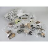 A collection of fossils and minerals, including various sized trilobites, mainly of Moroccan origin,