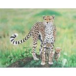 Richard W Orr, print signed in pencil,"Shakira" a study of a cheetah and cubs no. 2/350 20 1/2" x