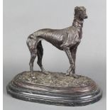 A bronze figure of a standing greyhound on an oval naturalistic base with black stepped marble