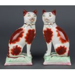 A pair of Staffordshire style figures of cats sitting on cushions 7"