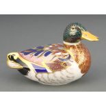 A Royal Crown Derby Imari pattern duck paperweight with gold stopper 5 1/2"