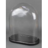 A moulded glass dome 21"h x 17"w x 9"d