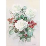 Jack Carter 1979, watercolour, signed and dated, study of white roses 14" x 10 1/4"
