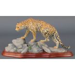 A Border Fine Arts Wild World figure of a leopard A306 13"