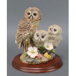 A Border Fine Arts group of owls by Willis 2002 8"