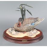 A Border Fine Arts figure of a Red Billed Duck, modelled by John Briddell no.13 of 350, 10", on a