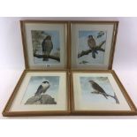 LEN BRIDGES, British, a set of four watercolours of BIRDS OF PREY, comprising:- Sparrow hawk,