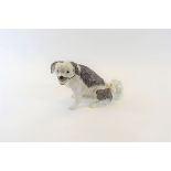 A LATE 19TH CENTURY CONTINENTAL PORCELAIN MODEL OF A BOLOGNESE TERRIER with painted highlights,