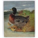 T M Claridge 1896, Oil on mahogany Panel, Mallard Ducks and duckings on a river bank,