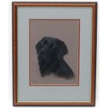 Paul West (late XX), Pastel on paper, 'Ben ' a black Labrador dog, Signed lower left,