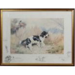 Alexander Charles-Jones (1959), Limited edition coloured print 62/350, Piebald Springer Spaniel,