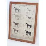 Framed 'anatomy of the horse' ( French) CONDITION: Please Note - we do not make