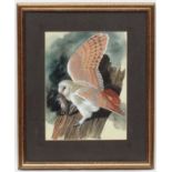 *Withdrawn from Auction * Dan Murray Smith late XX Ornithological illustrator,