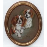 Marjorie Cox ( 1915-2003 ) Pastel Oval , Canine School - Dog portrait.