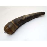 Shooting : A 19thC American ox horn Powder Flask ,