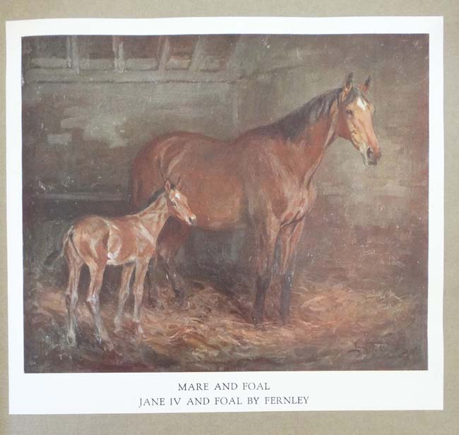 Book: '' Sketches in Stable and Kennel '' written and illustrated by Lionel Edwards, published by G. - Image 5 of 9