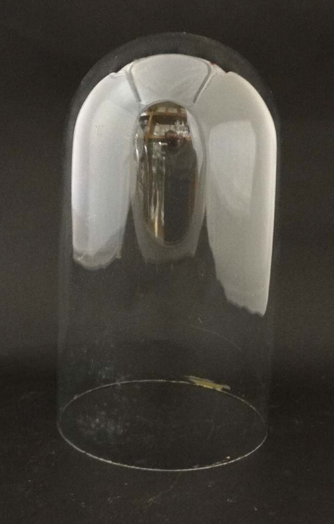 A 19 thC glass dome for clock / taxidermy specimens , - Image 4 of 6