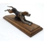 A hunting paper clip in the form of a 21stC cold painted cast bronze hound on oak base.