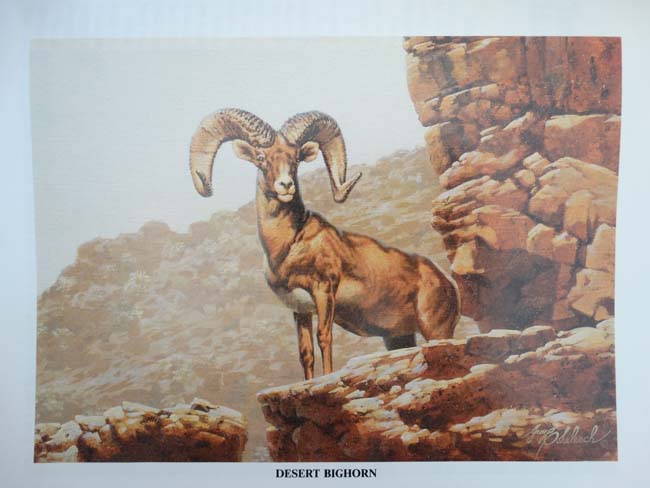 Books: Two editions of '' Records of North American Big Game '' to include the 1988 Centennial Year - Image 2 of 6