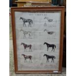 Framed 'anatomy of the horse' ( French) CONDITION: Please Note - we do not make