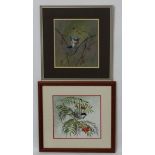 D J S Goodman XX Ornithological School, Gouache , a pair, Robin and Coal Titmouse,