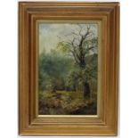 W Brafield C. 1900, Oil on canvas, Woodland scene , Signed lower right, 12 x 8".