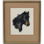 Terry Logan (b 1938), Watercolour, " Fell Pony ", Signed lower middle, titled lower left,