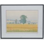 * Michael Carlos 1986, Limited Edition print 64/100, ' Summer Fields ', Signed ,